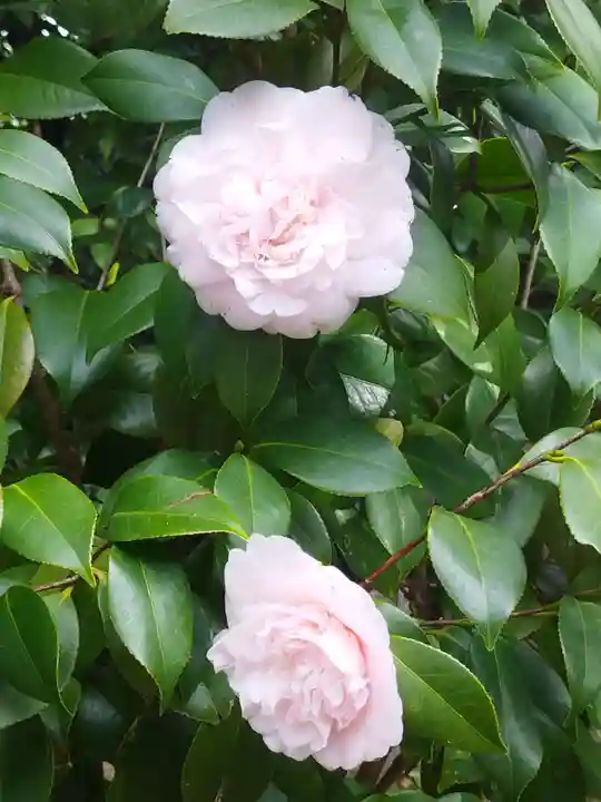 城南宮(京都府)