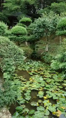真浄寺の庭園