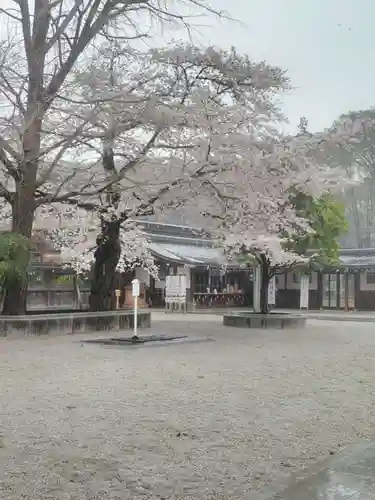 諏訪神社の庭園