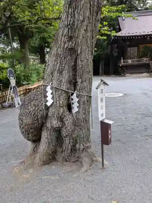 七社神社(東京都)