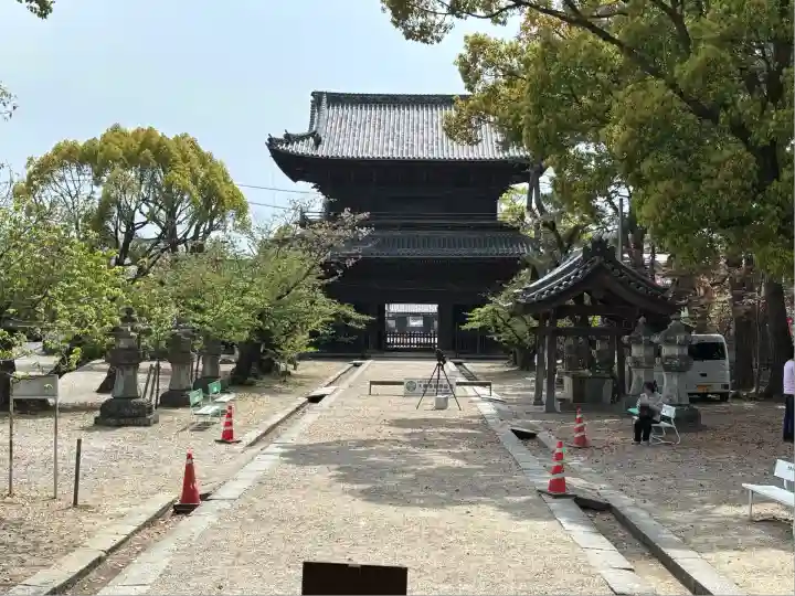 大樹寺(松安院大樹寺)(愛知県)