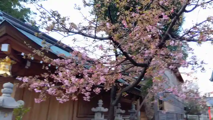 櫛田神社(福岡県)