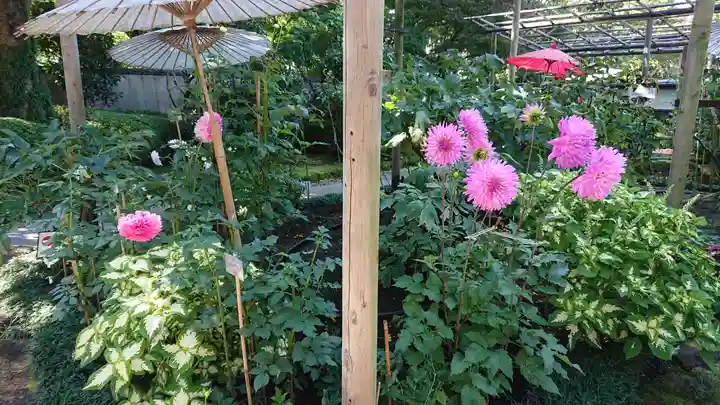 上野東照宮の庭園