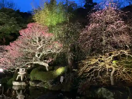 長谷寺の{uncategorized: "未分類", other: "その他", undefined: "問題あり", building: "その他建物", grave: "お墓", sacred_gate: "鳥居", guardian: "狛犬", statue: "像", buddha: "仏像", history: "歴史", nature: "自然", garden: "庭園", animal: "動物", pagoda: "塔", temizu: "手水舎", mountain_gate: "山門・神門", sanctuary: "本殿・本堂", subordinate: "末社・摂社", art: "芸術", scenery: "景色", jizo: "地蔵", ema: "絵馬", goshuin: "御朱印", omikuji: "おみくじ", items: "授与品その他", amulet: "お守り", goshuincho: "御朱印帳", eats: "食事", festival: "お祭り", votive_dance: "神楽", shichigosan: "七五三参", wedding: "結婚式", experience: "体験その他", initially: "初詣", around: "周辺", anti_infection: "感染症対策"}