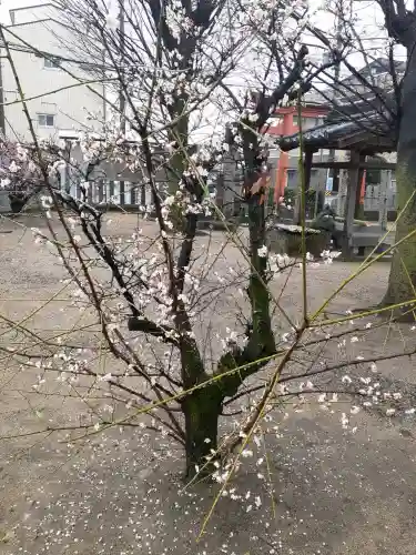 志貴縣主神社の{uncategorized: "未分類", other: "その他", undefined: "問題あり", building: "その他建物", grave: "お墓", sacred_gate: "鳥居", guardian: "狛犬", statue: "像", buddha: "仏像", history: "歴史", nature: "自然", garden: "庭園", animal: "動物", pagoda: "塔", temizu: "手水舎", mountain_gate: "山門・神門", sanctuary: "本殿・本堂", subordinate: "末社・摂社", art: "芸術", scenery: "景色", jizo: "地蔵", ema: "絵馬", goshuin: "御朱印", omikuji: "おみくじ", items: "授与品その他", amulet: "お守り", goshuincho: "御朱印帳", eats: "食事", festival: "お祭り", votive_dance: "神楽", shichigosan: "七五三参", wedding: "結婚式", experience: "体験その他", initially: "初詣", around: "周辺", anti_infection: "感染症対策"}