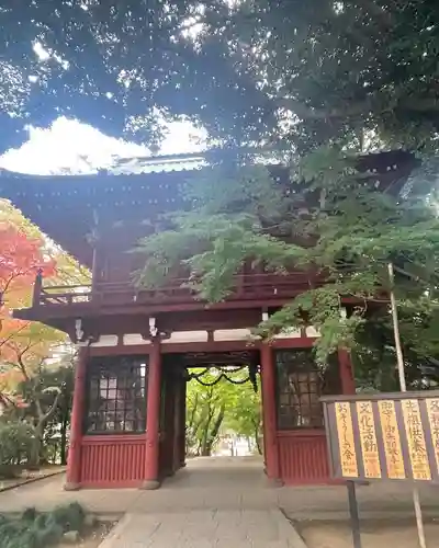 本土寺の山門・神門