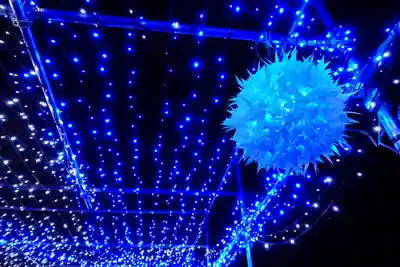 東大寺のお祭り