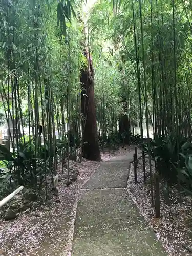 浄智寺の庭園