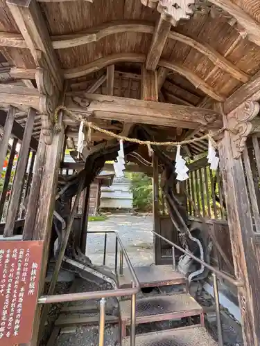 土佐神社(高知県)