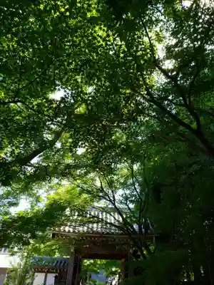 高円寺(東京都)