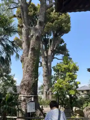 西大寺(岡山県)