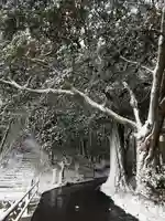 極楽寺(広島県)