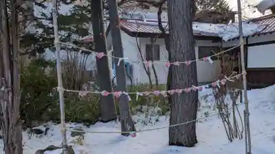 多賀神社のおみくじ