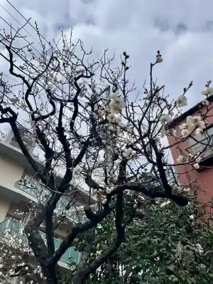 梅林寺(東京都)