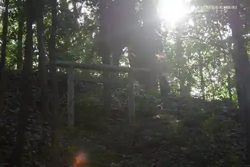 寒川神社の鳥居