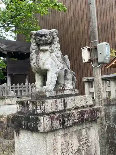 中野神社の狛犬