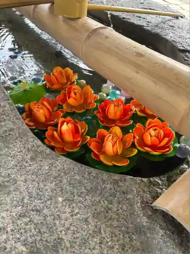 毛越寺(岩手県)