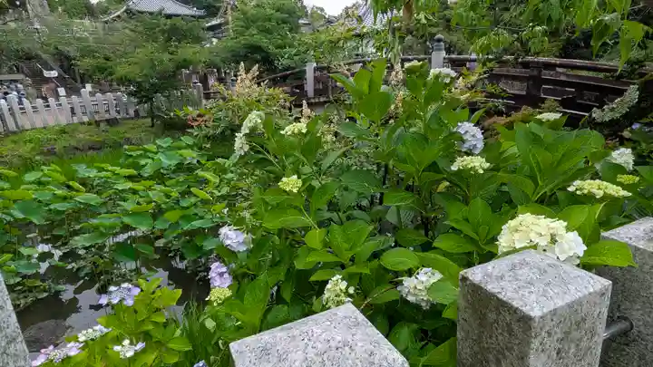 くろ谷 金戒光明寺(京都府)
