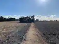水神社(千葉県)