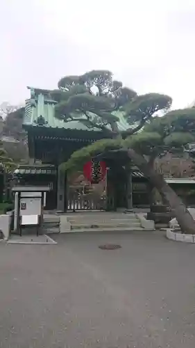 長谷寺の山門