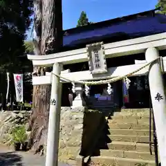 高司神社〜むすびの神の鎮まる社〜の鳥居