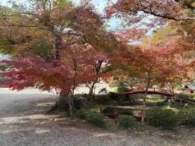 安国寺(京都府)