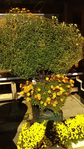 常陸第三宮　吉田神社(茨城県)