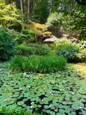 岩船寺の{uncategorized: "未分類", other: "その他", undefined: "問題あり", building: "その他建物", grave: "お墓", sacred_gate: "鳥居", guardian: "狛犬", statue: "像", buddha: "仏像", history: "歴史", nature: "自然", garden: "庭園", animal: "動物", pagoda: "塔", temizu: "手水舎", mountain_gate: "山門・神門", sanctuary: "本殿・本堂", subordinate: "末社・摂社", art: "芸術", scenery: "景色", jizo: "地蔵", ema: "絵馬", goshuin: "御朱印", omikuji: "おみくじ", items: "授与品その他", amulet: "お守り", goshuincho: "御朱印帳", eats: "食事", festival: "お祭り", votive_dance: "神楽", shichigosan: "七五三参", wedding: "結婚式", experience: "体験その他", initially: "初詣", around: "周辺", anti_infection: "感染症対策"}