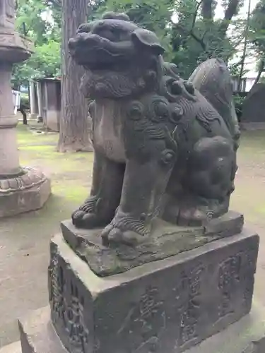 品川神社の狛犬