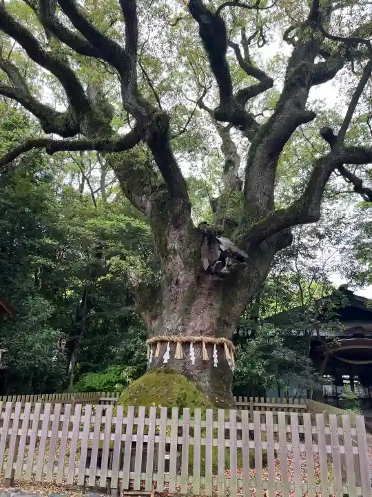熱田神宮の{uncategorized: "未分類", other: "その他", undefined: "問題あり", building: "その他建物", grave: "お墓", sacred_gate: "鳥居", guardian: "狛犬", statue: "像", buddha: "仏像", history: "歴史", nature: "自然", garden: "庭園", animal: "動物", pagoda: "塔", temizu: "手水舎", mountain_gate: "山門・神門", sanctuary: "本殿・本堂", subordinate: "末社・摂社", art: "芸術", scenery: "景色", jizo: "地蔵", ema: "絵馬", goshuin: "御朱印", omikuji: "おみくじ", items: "授与品その他", amulet: "お守り", goshuincho: "御朱印帳", eats: "食事", festival: "お祭り", votive_dance: "神楽", shichigosan: "七五三参", wedding: "結婚式", experience: "体験その他", initially: "初詣", around: "周辺", anti_infection: "感染症対策"}