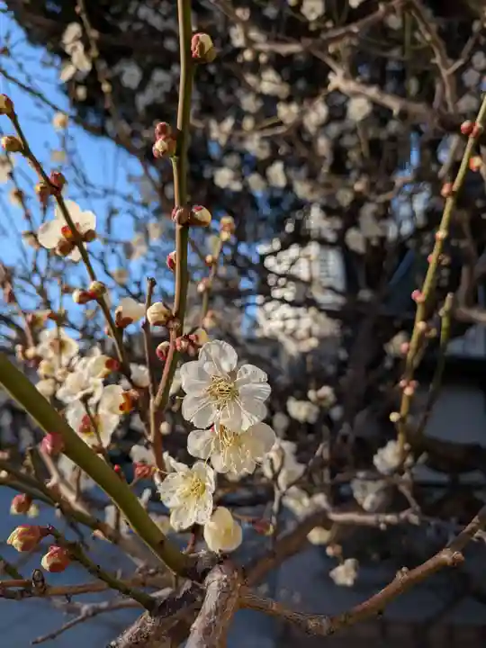 熊野神社(東京都)
