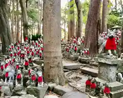 豊川閣　妙厳寺の狛犬