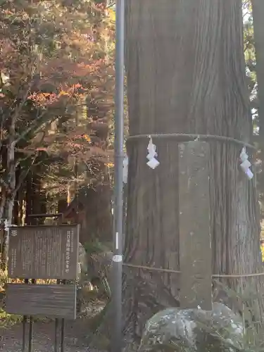 河口浅間神社(山梨県)