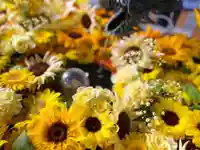 札幌諏訪神社の手水舎