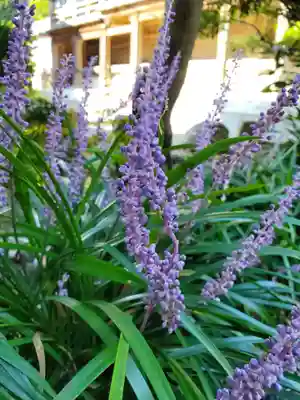 沙沙貴神社(滋賀県)