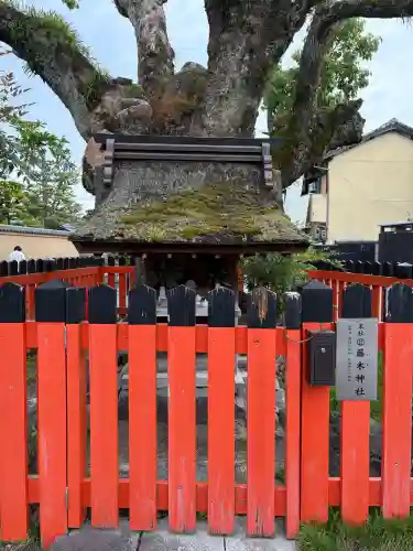 藤木社（賀茂別雷神社末社）の{uncategorized: "未分類", other: "その他", undefined: "問題あり", building: "その他建物", grave: "お墓", sacred_gate: "鳥居", guardian: "狛犬", statue: "像", buddha: "仏像", history: "歴史", nature: "自然", garden: "庭園", animal: "動物", pagoda: "塔", temizu: "手水舎", mountain_gate: "山門・神門", sanctuary: "本殿・本堂", subordinate: "末社・摂社", art: "芸術", scenery: "景色", jizo: "地蔵", ema: "絵馬", goshuin: "御朱印", omikuji: "おみくじ", items: "授与品その他", amulet: "お守り", goshuincho: "御朱印帳", eats: "食事", festival: "お祭り", votive_dance: "神楽", shichigosan: "七五三参", wedding: "結婚式", experience: "体験その他", initially: "初詣", around: "周辺", anti_infection: "感染症対策"}