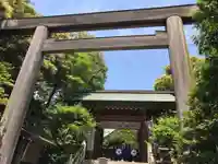 東京大神宮の鳥居