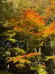 戸隠神社宝光社(長野県)