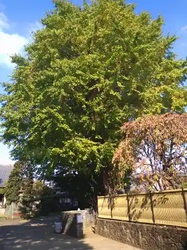 東光寺(東京都)