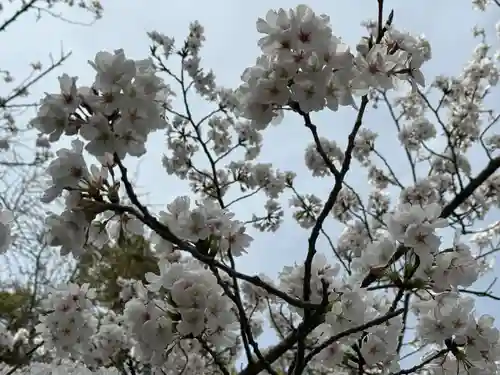 美奈宜神社(福岡県)