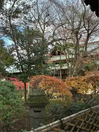 三嶋大社(静岡県)