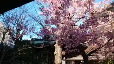 小野照崎神社(東京都)