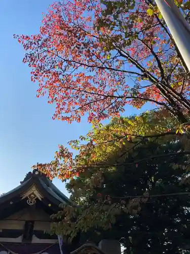 彌彦神社　(伊夜日子神社)の本殿