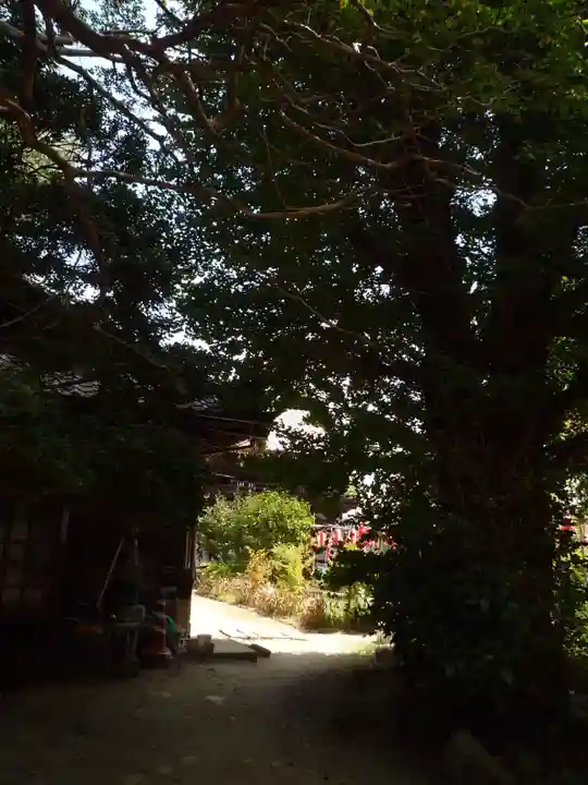 観音院(埼玉県)