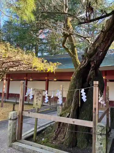 笠間稲荷神社(茨城県)