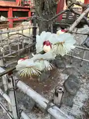 日吉神社の自然