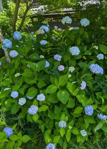 久安寺(大阪府)
