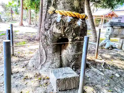諏訪神社のその他建物