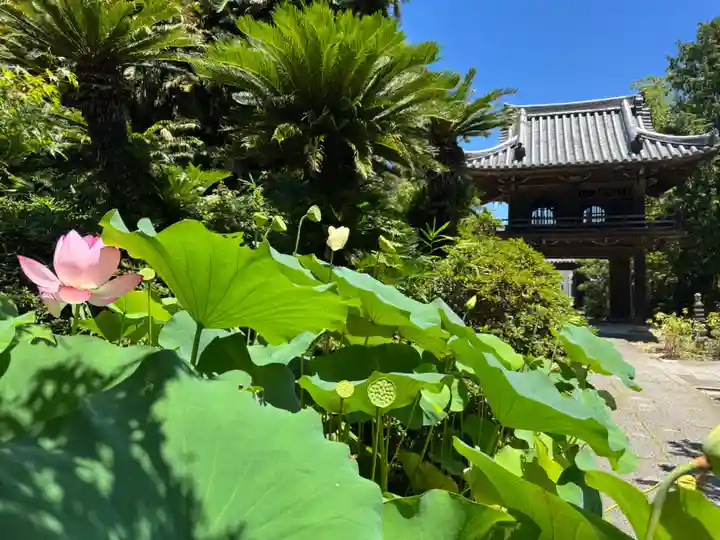 伊勢の国 四天王寺(三重県)