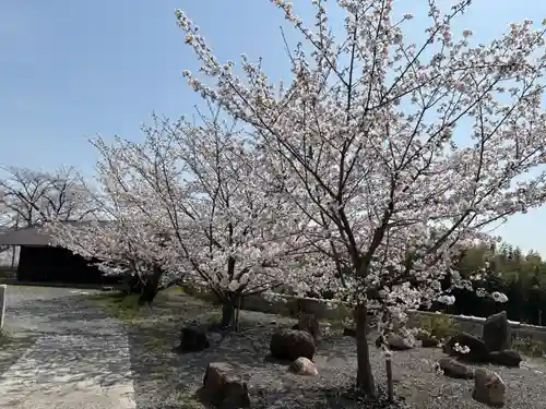 安岡寺(大阪府)